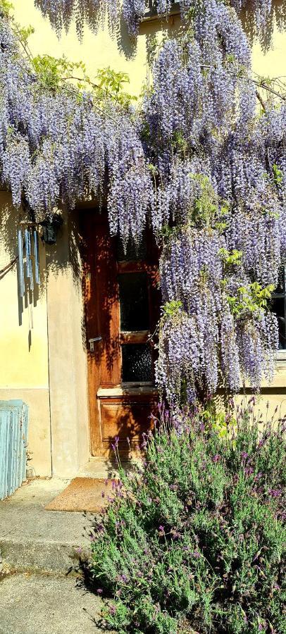La Maison Des Tisserandes Монсегюр Экстерьер фото